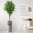 75'' Faux Ficus Tree in Pot
