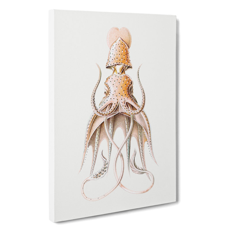 Vintage Squid Vol.2 by Ernst Haeckel - Wrapped Canvas, 50cm H x 35cm W x 3cm D