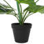Plant-129932156