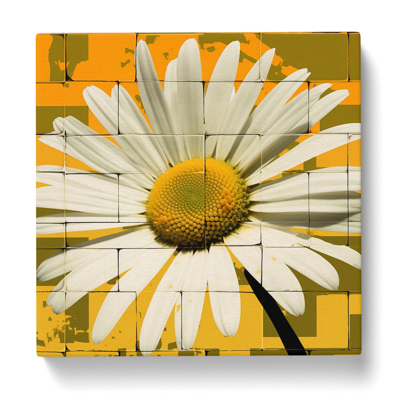 No Frame - Wrapped Canvas - Framed Print