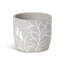 Planter-309982704