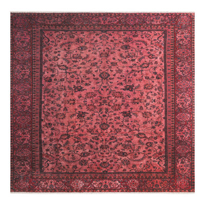 Rugs.com Ameneh Boutique Rug