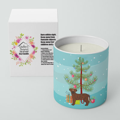 Pine/Christmas Tree Scented Jar Candle with Ceramic Holder