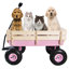 Chariot de jardin pour l'extérieur avec chariot pneumatique