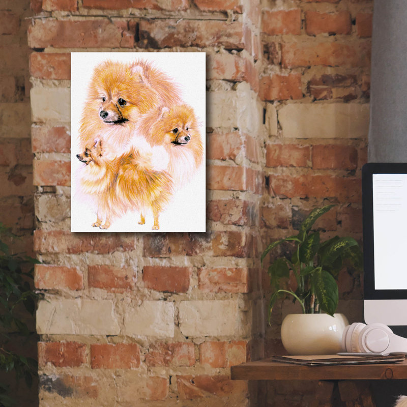 "Pomeranian" par Barbara Keith, H 16 po x l 12 po x P 0,75 po 