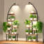 Support pour plante Renetia-1796624132