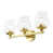 Polished Brass
