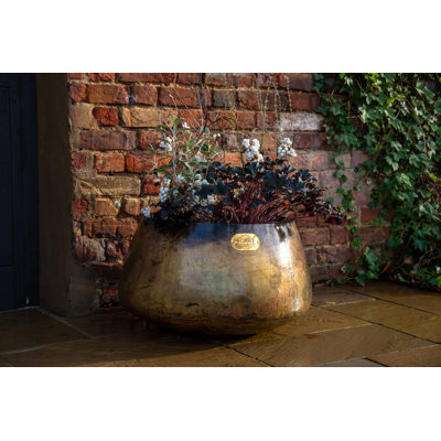 Pelaez Metal Pot Planter