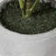 17'' Faux Plant in Pot-1459977080