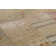 Oswego Area Rug