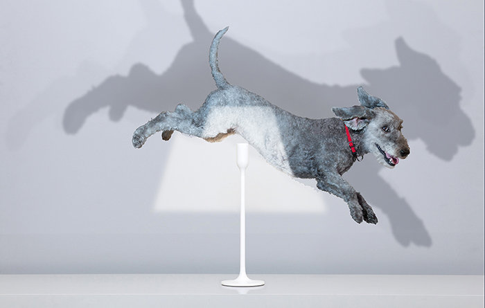 Yoy LED Table Lamp