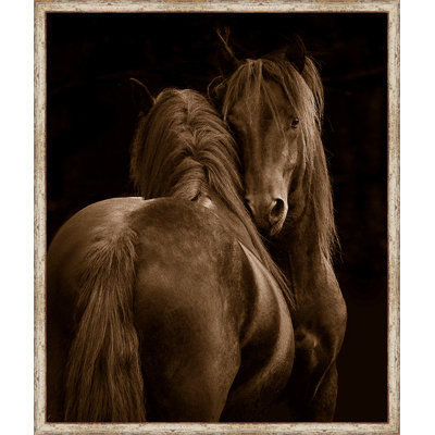 Wildlife, Birds & Animals Modern & Contemporary