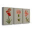 «Botanical Array VII», ensemble de 3 impressions sur toile tendue-1791842690