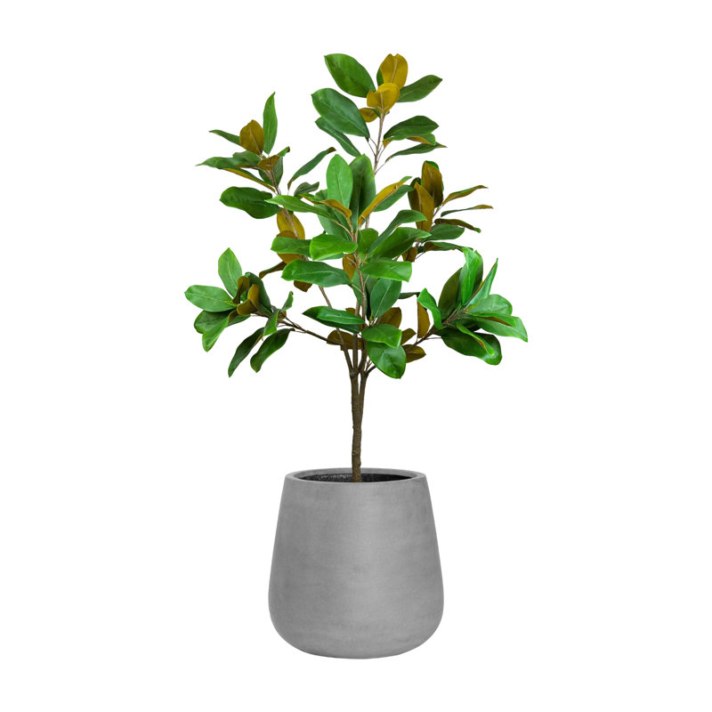 UV Rated 5' Magnolia Tree Drop-In with Fiberstone Planter