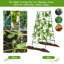 H 70,9 po x l 35,5 po avec structure en A et treillis de concombre pour plantes grimpantes