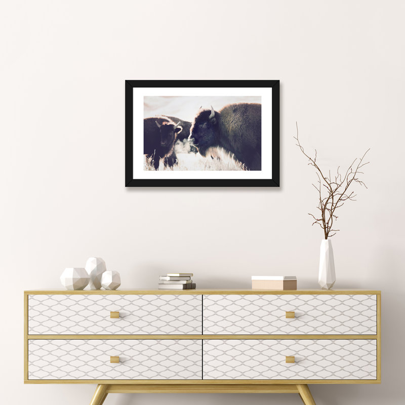 Photographie buffalo, H 16 po x l 24 po x P 1 po, Papier avec cadre noir