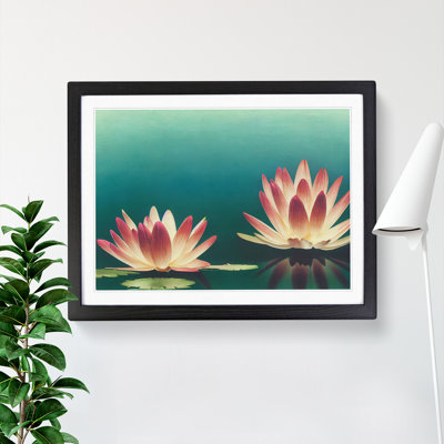 Sensational Water Lily Flowers - Single Picture Frame Print