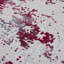 Tapis d'entrée à motif abstrait 3 pi x 5 pi (2 pi 8 po x 4 pi 8 po) rouge / gris Solenne Branch-2052903041