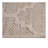 Collection Cream /Trellis Indoor/Outdoor Area Rug-1005862066
