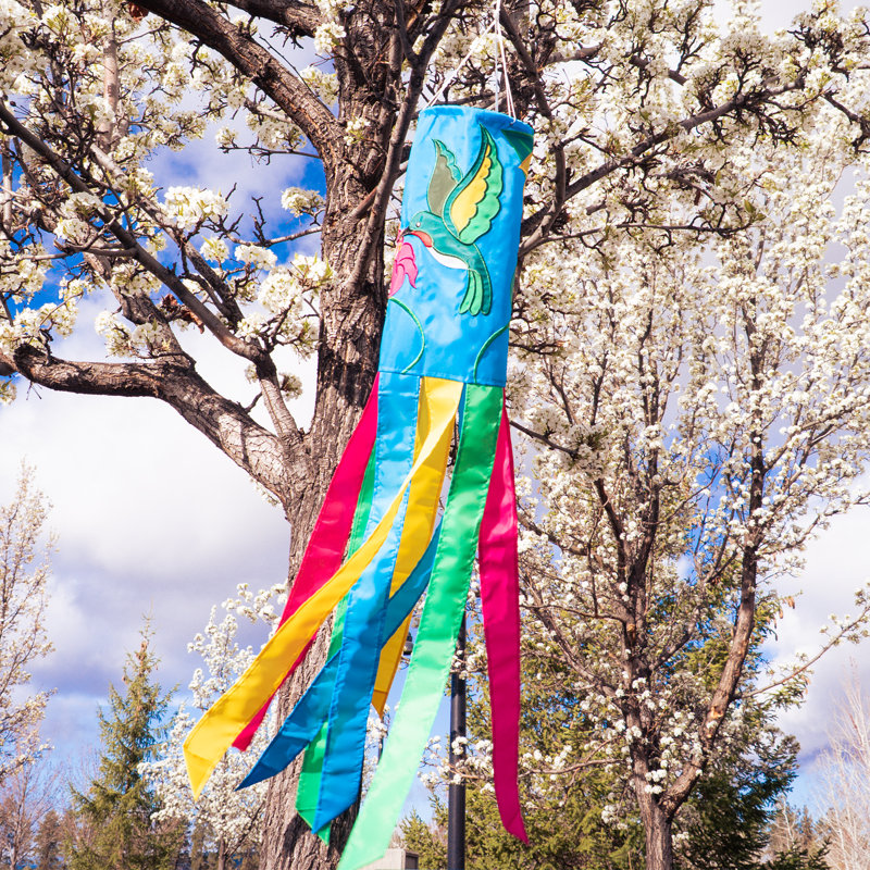 Hummingbird 40" Windsock