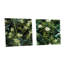 Cordural - Ensemble de 2 art mural en verre acrylique-103928801