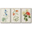 Fleurs des saisons I, reproduction encadrée sur toile 3 pièces-91891073-91891070