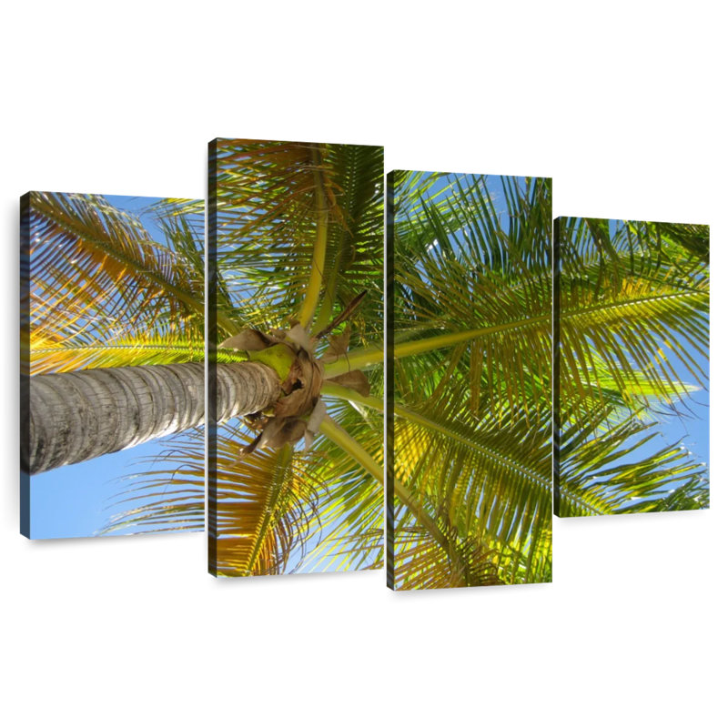 Harnek Saint Barths Palm Tree, 48" H x 75" W