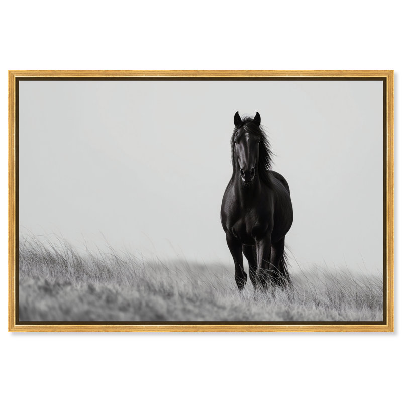Lone Stallion I Print by Oliver Gal, 11" H x 16" W, Gold Floater Frame