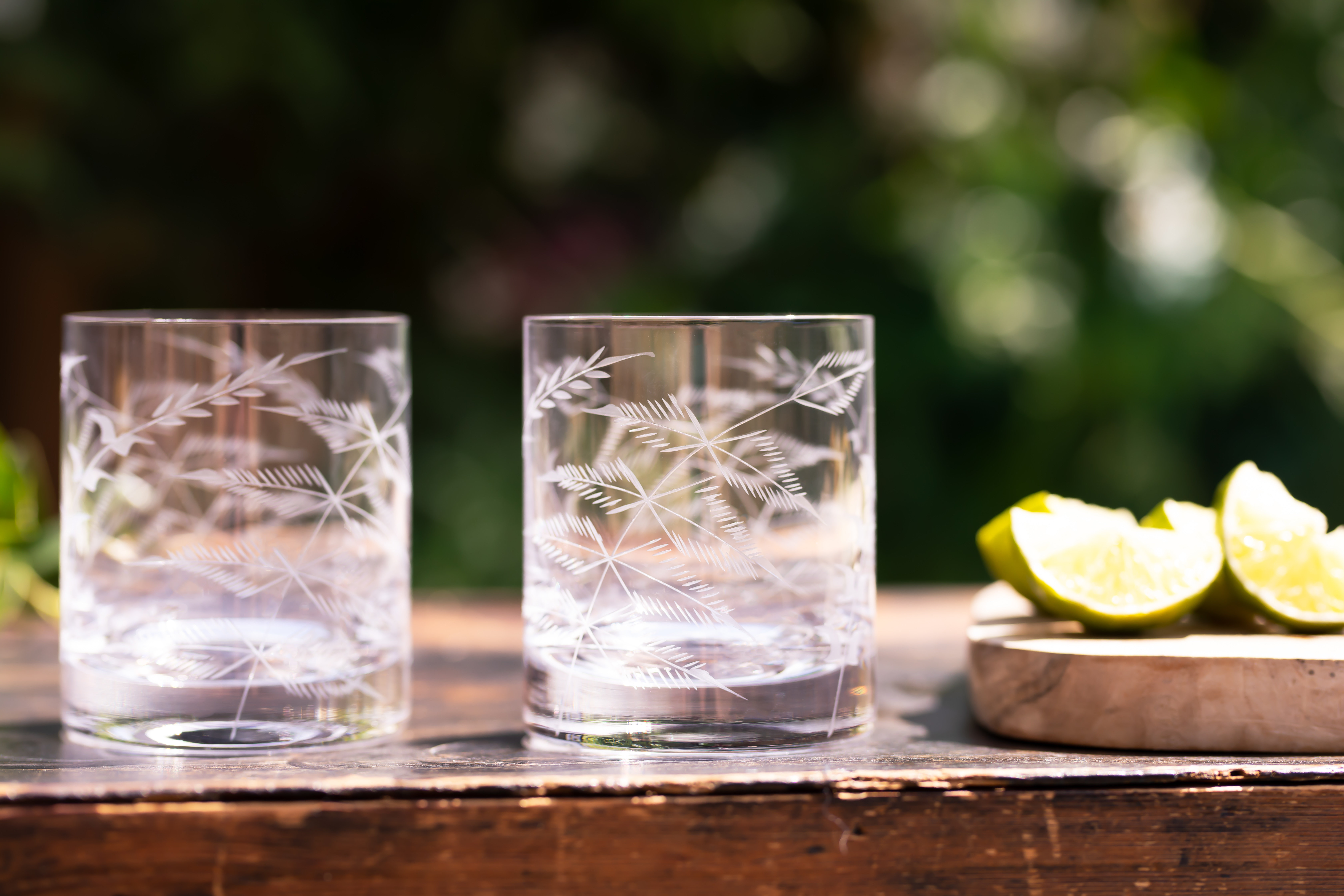 The Vintage List Whisky Glasses Set Of 2 Fern | Perigold