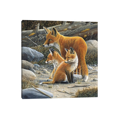 Fox Family by Jan Weenink - Wrapped Canvas Painting