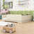 Beige est en rupture de stock