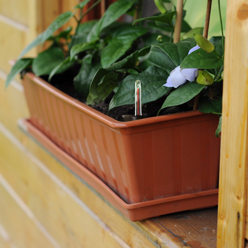 Person Weather Resistant Saucer Plant Stand, 2.8cm H x 57.5cm W x 15cm D, Terracotta