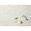 The Carpet Relax - Modern Rug, Fluffy, Short Pile, Non-Slip Underside, Washable up to 30°C, Super-Soft, Fur Look, Cream-411904668