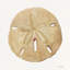 Neutre Shell Collection 5 2885500-515768885-521901776-521901788