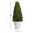 20'' Boxwood Topiary in Ceramic Pot