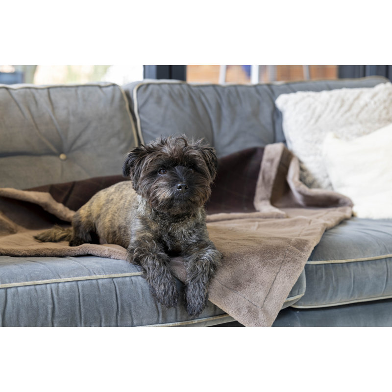 Deshondra Plaid Pet Blanket
