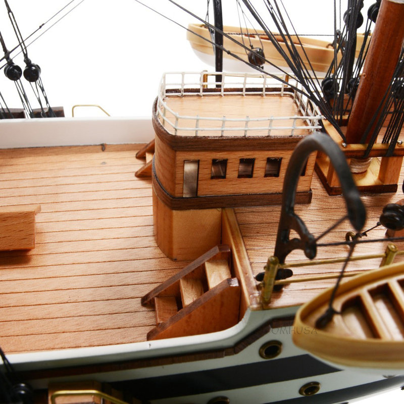 Amerigo Vespucci Painted Medium Admiral Line