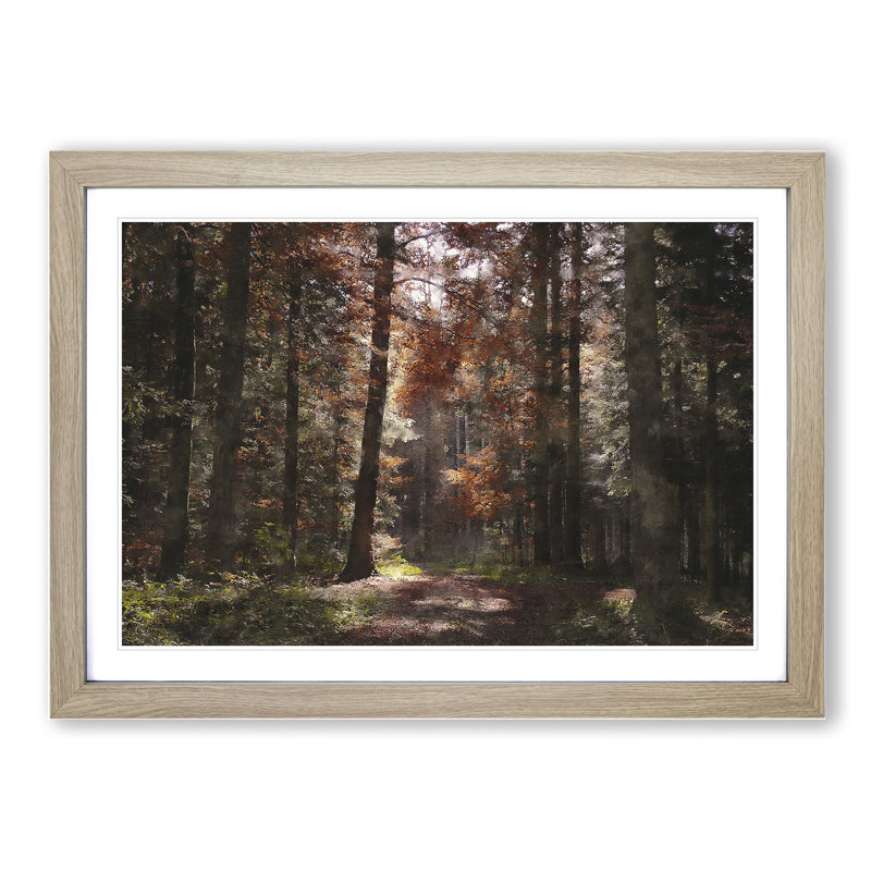 Autumn Forest Vol.4 - Picture Frame Graphic Art, 27cm H x 36cm W x 2cm D, Oak Framed