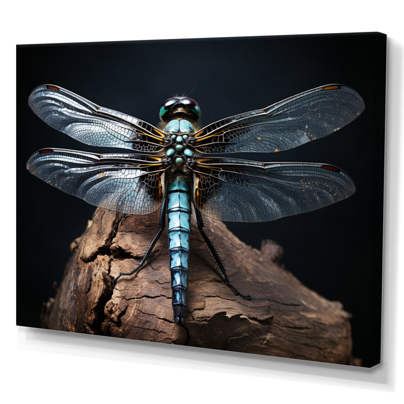 «Teal Dragonfly Portrait I», reproduction d'art sur toile, H 12 po x l 20 po x P 1 po, Toile tendue