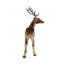 Cerf debout en velours et mousse