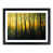 Black Framed selected