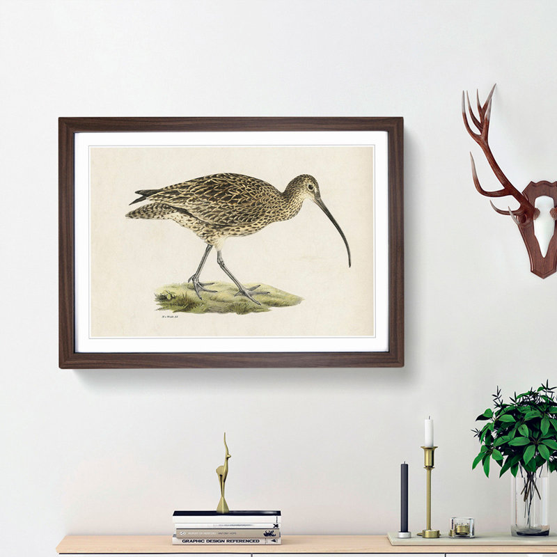 Eurasian Curlew by Von Wright - Picture Frame Painting Print on MDF, 27cm H x 36cm W x 2cm D, Walnut Framed