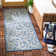 Carolino Performance Floral Indoor/Outdoor Area Rug