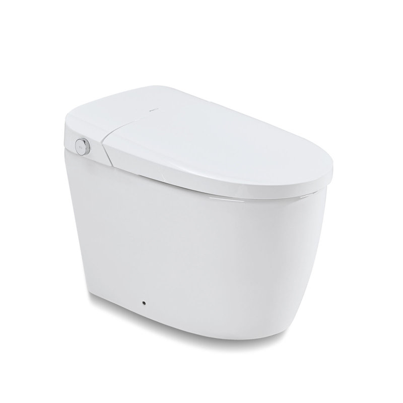 Smart Toilet Bidet Dual-Flush, Foot Sensor Flush,Blackout Flush,Elongated Bidet Toilet