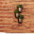 Planter-1071653965
