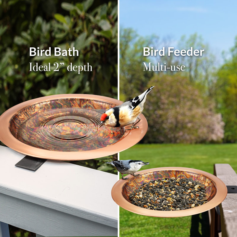 Bain d'oiseaux sur piédestal Tyrek