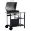 Aarish Sol 27 Outdoor 2 - Burner Countertop Liquid Propane 9500 BTU BTU Gas Grill-121222736