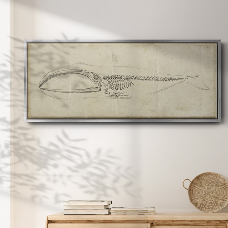 Whale Study I- Framed Canvas, 20" H x 50" W