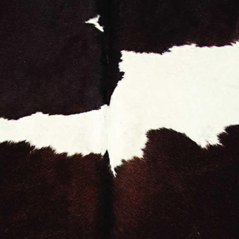 Abhinav Cowhide Animal Print Indoor Rug, Novelty 2' x 6'