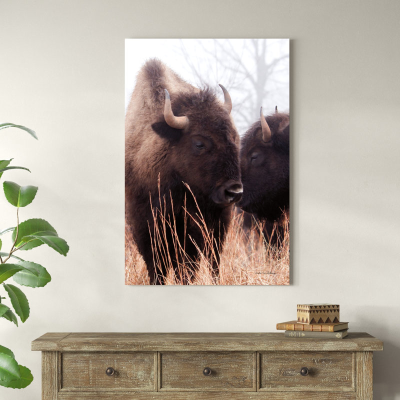 " American Bison VI " by Debra Van Swearingen, 48" H x 32" W